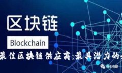 2023年推荐的最佳区块链供
